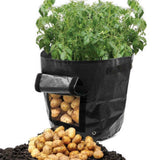 Suncoda Summer Savings 34x35cm Potato Grow Bag with Side Window & Handles 14" x 18" Gray#3