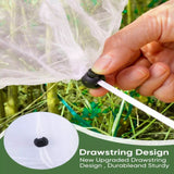 Darzheoy 1 Pack Garden Mesh Netting for Plants, 19.7 x 29.5 Inch Insect Bird Barrier Netting Mesh with Drawstring, Tomato Plant Cover Fruits Tree Netting Bags Protection for Vegetables 31.5" x 59" 2 Pack