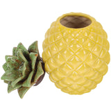 WHAMVOX Yellow Pineapple Tea Cookie Jar Storage Container for Fruit and Travel Kitchen Use
