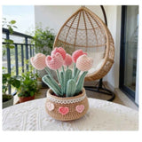 Crochet Kit for Beginners, Tulip Crochet Starter Kit Beginner for Complete Beginners Adults, Crocheting Knitting Kit