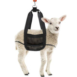 Calf Sling for Weighing Animals - Calf Scale Hanging Weight Scale Sling with Adjustable Straps for Weighing Calves Lambs Goats Baby Alpacas Newborn Livestock Dogs