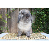 2pcs Woven Grass Mat - All Natural Chewable Grass Mat for Small Pets  Pig Foot Mat Rabbit Grass Nest Pet Supplies（small size）