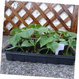 Potted greenhouse planting tray garden tray hydroponic plant startup tray micro green tray vegetable tray nursery potted In Australia - Darrahopens