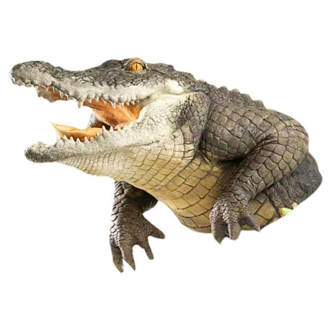 Ocean Decoration Pond Floating Crocodile Head Crocodile Garden Sculpture Fake Crocodile Head Floating Simulation Realistic In Australia - Darrahopens