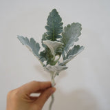 4pcs，Ins Grey Simulation Plant Silver Leaf Chrysanthemum Plush Sheep Horn Leaf Home Decoration Ornament Versatile In Australia - Darrahopens