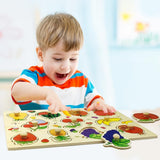 Knob Puzzle Game Set, Children's Wooden Cognitive Knob Puzzle Game Set, Girls and Boys Learning Digital Fruits