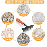 Hand Held Carpet Rake, Making Carpets Fluffy Again, Clean Hair, Let Carpet Restore Softness (Iron, Black)