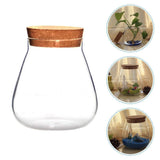 Round Glass Jar Plant Terrarium Tabletop Succulent Planter Moss Balls Buds Vase Wish Bottle Candy Cookie Jar Canister with Cork In Australia - Darrahopens