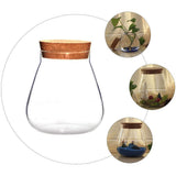 Round Glass Jar Plant Terrarium Tabletop Succulent Planter Moss Balls Buds Vase Wish Bottle Candy Cookie Jar Canister with Cork