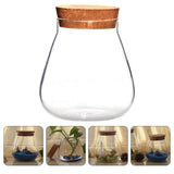 Round Glass Jar Plant Terrarium Tabletop Succulent Planter Moss Balls Buds Vase Wish Bottle Candy Cookie Jar Canister with Cork