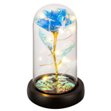 Childom Birthday Gifts for Women,Christmas Rose Gifts for Women,Womens Glass Rose Gifts,Light Up Rose Flowers in Glass Dome In Australia - Darrahopens