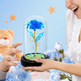 Childom Birthday Gifts for Women,Christmas Rose Gifts for Women,Womens Glass Rose Gifts,Light Up Rose Flowers in Glass Dome