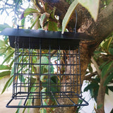 Outdoor bird feeder Outdoor hanging bird feeder Hanging parrot bird feeder Bird dispenser Bird feeder