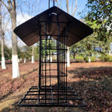 Outdoor bird feeder Outdoor hanging bird feeder Hanging parrot bird feeder Bird dispenser Bird feeder