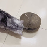 Interactive Cat Scratching Board,Cat Grinding Claw Scratching Board with a Toy Bell Ball Convenient Cat Toy Durable Recyclable