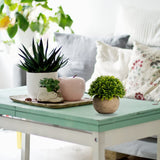 3pcs Bedroom, office, partition, shelf decoration, window, plant shelf decoration, dormitory, kitchen, counter decoration In Australia - Darrahopens