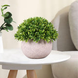 3pcs Bedroom, office, partition, shelf decoration, window, plant shelf decoration, dormitory, kitchen, counter decoration