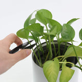 Carbon Steel Trimming Nipper Yarn Lightweight Thread Cutter - Portable Mini Embroidery Clipper Stitching Snip for DIY