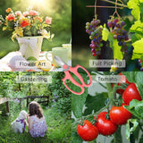 Garden Scissors, Pink Floral Shears, Flower Scissors , Garden Pruning Shears with Comfortable Handles, Garden Clippers In Australia - Darrahopens