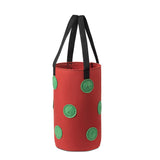 Grow Bags 3 Gallon for Strawberry Vegetables 12 Planting Holes, Sturdy Hanging Handle Thickened Breathable Felt Cloth In Australia - Darrahopens