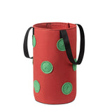 Grow Bags 3 Gallon for Strawberry Vegetables 12 Planting Holes, Sturdy Hanging Handle Thickened Breathable Felt Cloth