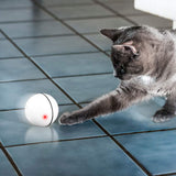 Pet Cat Toy Led Light Free Ball USB Charging Smart Funny Cat Toy Automatic Rolling Ball Motorized Entertainment