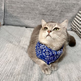 2 pcs Fashion Dog Bandana Collar Dog Collar Boy Medium Bandana Puppy Bandana with Collar for Dogs - S