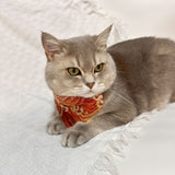 2 pcs Fashion Dog Bandana Collar Dog Collar Boy Medium Bandana Puppy Bandana with Collar for Dogs - S