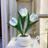 Tulip Lamp LED Artificial Flowers Table Lamp Night Light USB Charging & Dimming for Home Living Room Bedroom Bedside Decoration In Australia - Darrahopens