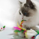 Cat Mice Toys for Indoor Cats 10PCS Color random, Variety Mouse Cat Toy Mice Cat Toy Mouse for Cats, Fur Mice Cat Toys