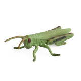 5 pcs Realistic Animal Figures Beetle Figurines Insect Toy, Science Project, Cake Topper, Early Educational Toys In Australia - Darrahopens