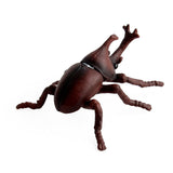 5 pcs Realistic Animal Figures Beetle Figurines Insect Toy, Science Project, Cake Topper, Early Educational Toys