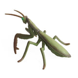 5 pcs Realistic Animal Figures Beetle Figurines Insect Toy, Science Project, Cake Topper, Early Educational Toys In Australia - Darrahopens