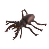 5 pcs Realistic Animal Figures Beetle Figurines Insect Toy, Science Project, Cake Topper, Early Educational Toys