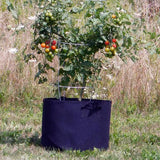 6 PCS（10 gallons）Outdoor Modern Lightweight Non-Woven Insulating Fabric Breathable Grow Bags for Indoor or Outdoor Gardening In Australia - Darrahopens