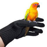 Black. Steel Fibre Yarn. Cut & Abrasion Resistant Glove. 1 Pair. Ambidextrous. Suitable for multiple work environments