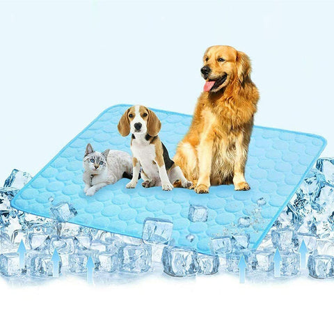 Mat Pad for Dogs Cats Ice Silk Mat Cooling Blanket Cushion for Kennel/Sofa/Bed/Floor/Car Seats Cooling (XL:40 x 28 inches, Blue) In Australia - Darrahopens