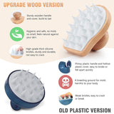 Scalp Care Brush, Shower Brush Scalp Scrubber Exfoliator with Soft Silicone Bristles for Dandruff Removal, Hair Growth (White) In Australia - Darrahopens