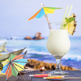 10 PCS Colorful Paper Umbrellas, Cocktail Parasol Picks, Cupcake Toppers Picks Cupcake Toppers for Summer Hawaiian Umbrella Sticks