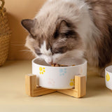Ceramic Round Dog Cat Bowl with Wood Stand, Durable Ceramic Food Water Elevated Dish for Pet, Modern Cute Weighted Food (2pcs)