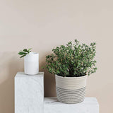 2 Pack Small Hanging Basket,wall hanging baskets with hooks,small hanging storage basket with handle for Porch Living Room Bedroom In Australia - Darrahopens