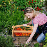Garden Harvest Basket, Large Vegetable Hod for Gardeners - Garden Basket with Rotating Handle Makes Washing Your Fruits and Veggies a Breeze | Reinforced Frame