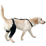 Dog Knee Brace Dog Brace Hind Leg Dog Knee Brace with Extra Collar and Support Treats Kneecap Dislocation Arthritis（S）