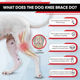 Dog Knee Brace Dog Brace Hind Leg Dog Knee Brace with Extra Collar and Support Treats Kneecap Dislocation Arthritis（S）