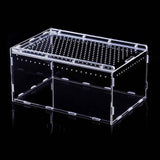 Magnetic Acrylic Case, Micro Habitat Small Tarantula Enclosure Enclosure for arboreal Tarantula Scorpion Sling Lizards Mantis Snake Gecko Jumping Spider Snail Insect Isopods (20X12X12cm  horizontal version) In Australia - Darrahopens