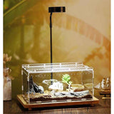 Magnetic Acrylic Case, Micro Habitat Small Tarantula Enclosure Enclosure for arboreal Tarantula Scorpion Sling Lizards Mantis Snake Gecko Jumping Spider Snail Insect Isopods (20X12X12cm  horizontal version) In Australia - Darrahopens
