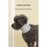 Cat Neck Brace Elizabethan Collar for Pet After Surgery Recovery Adjustable Breathable Neck Cervical Cone for Small Medium Dogs Puppies Kittens with Spinal  Issues (Grey, S) In Australia - Darrahopens