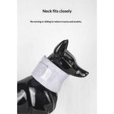 Cat Neck Brace Elizabethan Collar for Pet After Surgery Recovery Adjustable Breathable Neck Cervical Cone for Small Medium Dogs Puppies Kittens with Spinal  Issues (Grey, S) In Australia - Darrahopens