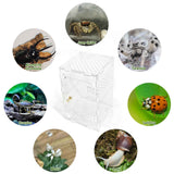 Acrylic Jumping Spider Enclosure Box: Transparent Habitat with Ventilation Holes, Escape-Proof Terrarium for Reptile Pet, Easy to Clean & Observe In Australia - Darrahopens