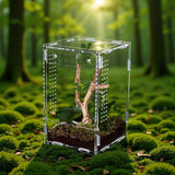 Acrylic Jumping Spider Enclosure Box: Transparent Habitat with Ventilation Holes, Escape-Proof Terrarium for Reptile Pet, Easy to Clean & Observe In Australia - Darrahopens
